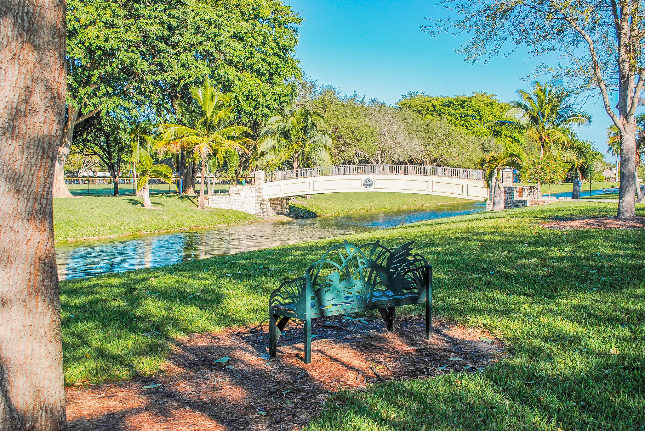 Palmetto Bay Park